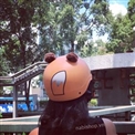nón thú , nón gấu trúc , nón panda cute , nón panda dễ thương , nón bảo hiểm panda